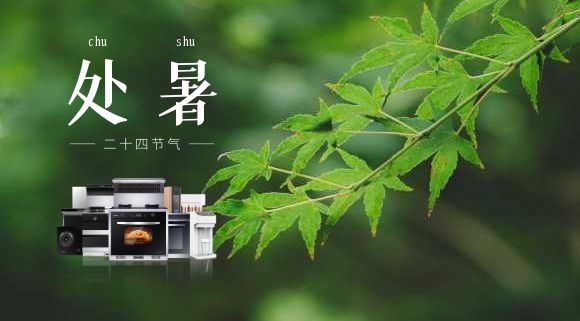 處暑 | 告別“蒸桑拿”，在廚房邂逅科恩集成灶